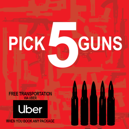 PICK 5 GUNS<br />