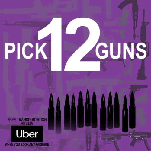 PICK 12 GUNS <br />