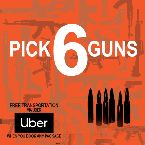 PICK 6 GUNS <br />