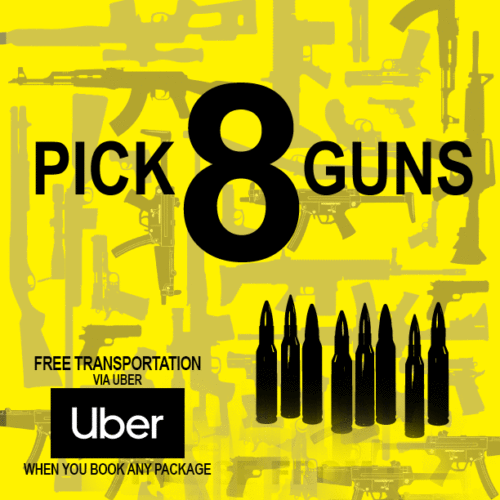 PICK 8 GUNS <br />