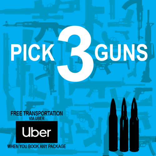 PICK 3 GUNS<br />